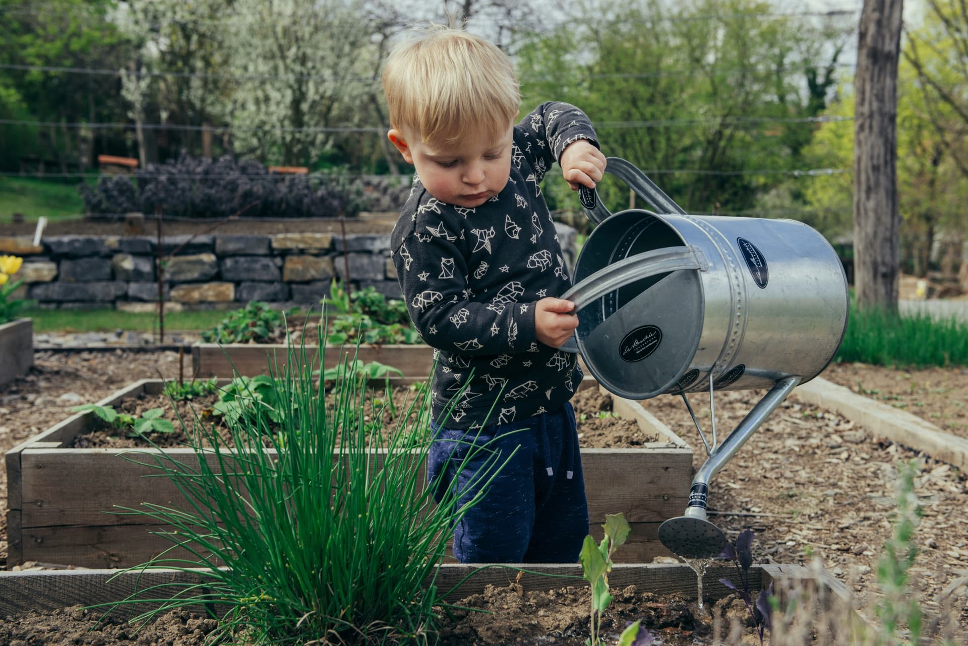 plant-ranking-a-greenthumb-game-changer-for-your-garden
