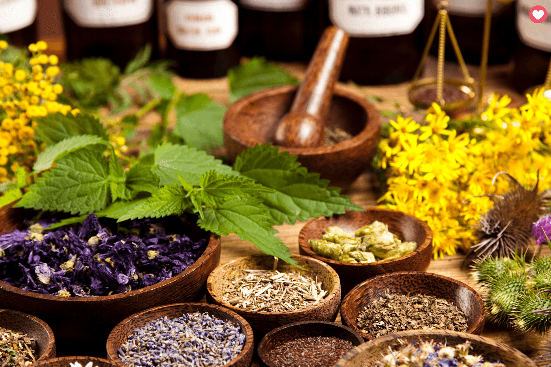 Herbs on the table in bowls